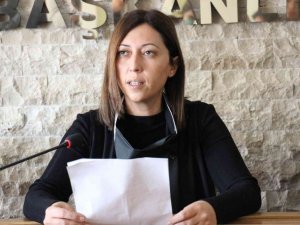 AK Parti Aydın İl Kadın Kolları Başkanı Göğde: "Kadına yönelik şiddet bir dünya sorunudur"