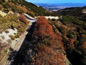 Denizli’de renk cümbüşü kendine hayran bıraktı