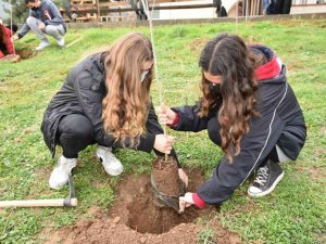 Öğretmenler anısına hatıra ormanı oluşturuldu