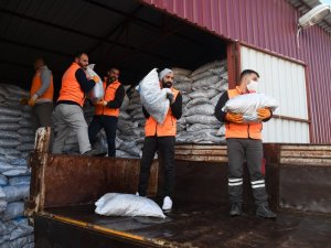 Kuşadası Belediyesi’nden 2 bin 500 aileye  yakacak yardımı