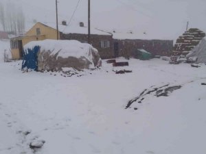 Tuzluca’da kar yağışı etkili oluyor