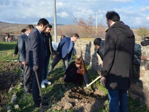 Öğretmenler fidanları toprakla buluşturdu