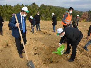 Her öğretmene bir fidan kampanyası