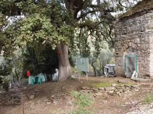 Bakımsız kalan Balım Sultan Türbesi restore edilecek