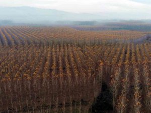 Otoyolda hız kesen manzara