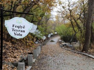 Feqiye Teyran Türbesi’nin çevresi onarıldı