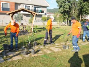 Marmaris’te örnek proje
