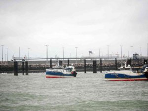 Fransız balıkçılardan Manş Tüneli ve 3 limanda “balıkçılık ruhsatı” protestosu