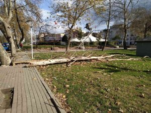 Belediye ekiplerinden lodos yıkıntılarına anında müdahale