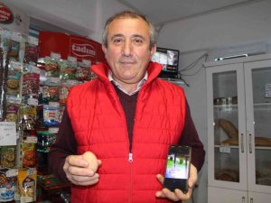Hırsız karga: Marketten yumurta ve patates cipsi çalıyor