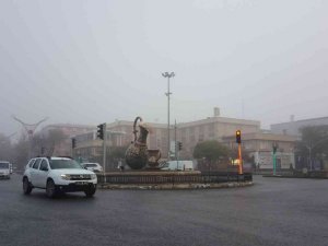 Erzincan’da yoğun sis ve pus etkili oldu
