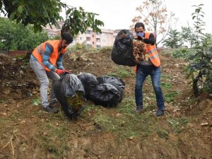 Yaprak ve çim atıklarından organik gübreye dönüştürüyorlar