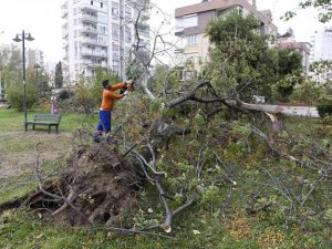 Muratpaşa’da hortumun bıraktığı izler temizleniyor