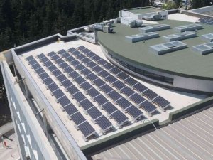 2050’de sıfır karbon hedefi