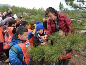 İlkokul öğrencileri tohumdan fidana uzanan süreci doğada öğrendiler