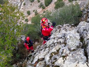 Kayalıklara düşen keçiyi itfaiye kurtardı
