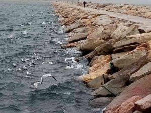 Lodos Bandırma’da hayatı olumsuz etkiledi