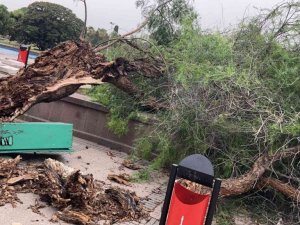 İzmir’de fırtına raporu