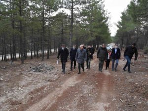 Isparta’da 110 bin metrekarelik alana ‘Millet Ormanı’ kuruluyor