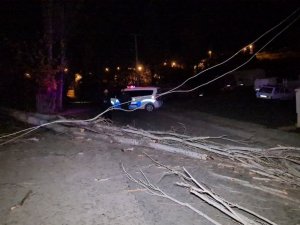 Karabük’te fırtınada ağaçlar devrildi, elektrik telleri koptu