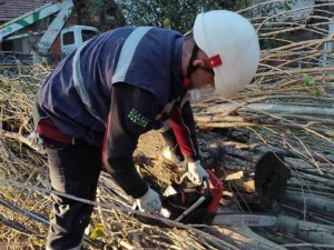 Şiddetli lodos enerji hatlarını tahrip etti