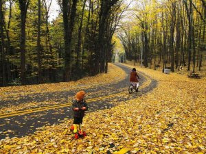 Sonbaharda İl Ormanı adeta büyülüyor
