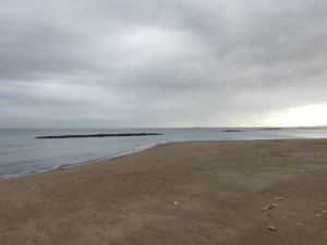 Marmara kabusu yaşarken Batı Karadeniz’de sessizlik hakim