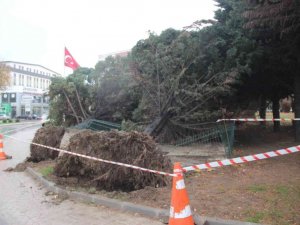 Lodos şehri birbirine kattı