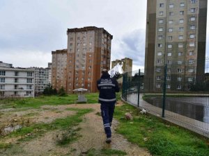 Tuzla Belediyesi’nden sokak hayvanları için mama seferberliği