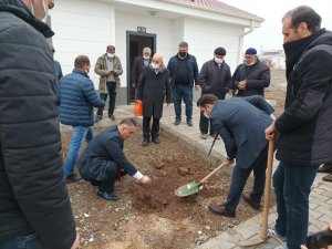 Deprem konutlarının etrafı yeşillendirilmeye başladı