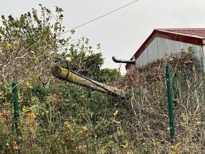 Çatının uçma anı kamerada