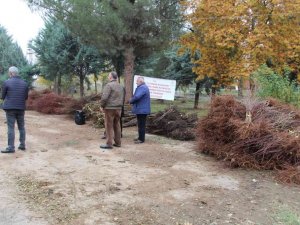 Batmanlı çiftçilere karışık meyve fidanı dağıtıldı