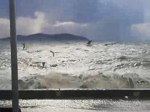 Caddebostan’da martıların lodosla imtihanı