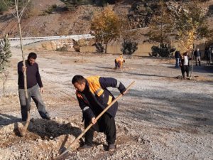 Yangın bölgesinde mesire alanı oluşturuldu
