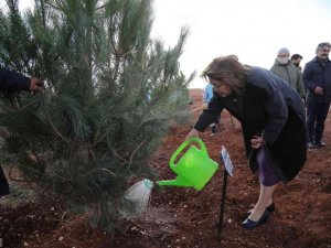 "Yeşil şehirler huzurlu nesiller" için 20’nci durak Fıstıklık mahallesi oldu