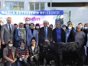 Köyceğizli kadın çiftçilere kıl keçisi desteği