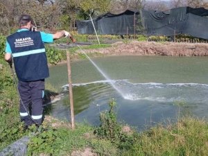 Büyükşehir vektörlerle mücadeleyi yıl boyu sürdürüyor
