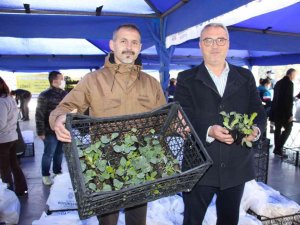 Aydın Büyükşehir Belediyesi 100 bin adet kışlık yerel fideyi vatandaşlara dağıttı