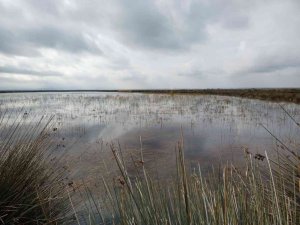 Vali Dağlı: “Su potansiyelimizi etkili ve verimli kullanmalıyız"