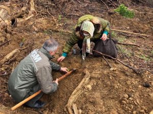 Bandırma’ya 5 bin fidanlık hatıra ormanı