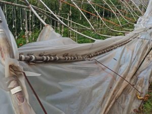 Hakkari’de rüzgar seralara zarar verdi