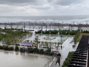 Soçi sahilleri dev dalgalara teslim