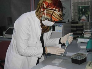 Dicle Üniversitesi pandemiye rağmen yılda 25 kemik iliği nakli gerçekleştirdi