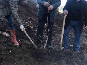 ASAD’dan fidan dikim etkinliği