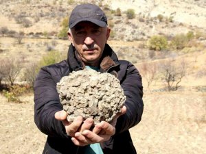 Tut’ta 10 kilo ağırlığında 65 milyon yıllık deniz mercanı bulundu