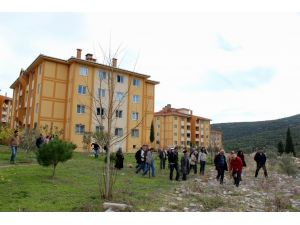 TOKİ 27 İlde 55 İşyeri Ve 79 Konutu Açık Artırma İle Satıyor