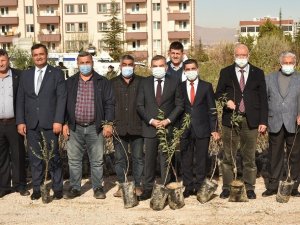 Karaman’da çiftçilere fidan dağıtıldı