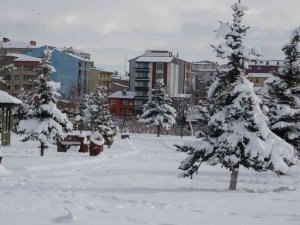 Ardahan’da beyaz güzellik
