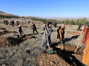 Gençler yeşillendirmeye destek