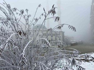 Ağrı’da yoğun sis etkili oldu